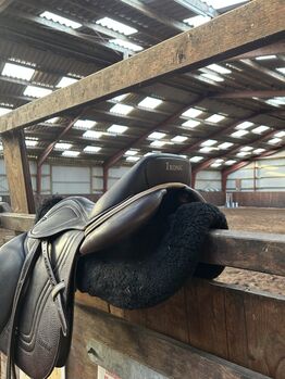 Ikonic Springsattel Evolution 17,5 Zoll Ikonic  Evolution 