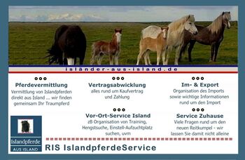 Importservice Islandpferde