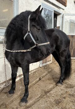 Ina sucht erfahrene Hände