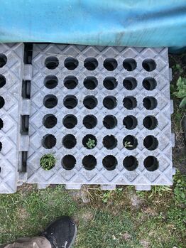 INB Paddockplatten gesucht INB INB paddockplatten 50x50