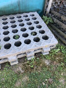 INB Paddockplatten gesucht, INB INB paddockplatten 50x50, Carola Jacobs-Schütte, Paddock-, Boxen- & Stallmatten, Velpke 