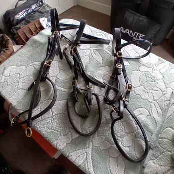 Inland bridles (3) Full, Horse. Cob Selling Separately, Deborah B, Bridles & Headstalls, Roborough,  Winkleigh