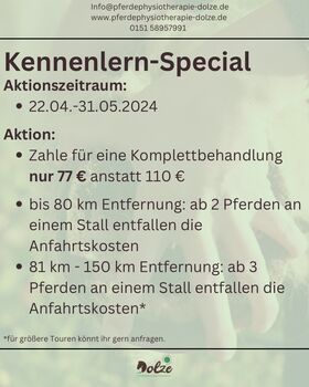 Kennenlern-Special Pferdephysiotherapie in Dresden und Umgebung, Mareen Dolze, Therapy & Treatment, Dresden