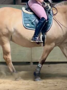 IR Lack Dressurstiefel geschnürt dunkelblau Größe 40 Imperial Riding