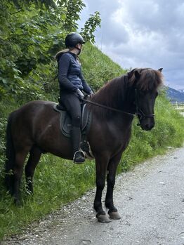 Isländer Wallach, Ingrid , Horses For Sale, Zederhaus 