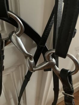 Isländerzaum gebraucht, sehr guter Zustand, günstig abzugeben