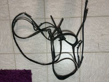 Ivy-Horsefashion Dalas Trense Ivy-Horsefashion 