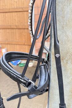 Ivy Horsefashion Trense Rundgenäht WB Ivy Horsefashion