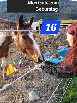 Reitbeteiligung, Sandra Rinker, Horse Sharing
, Wattens