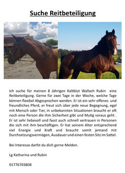 Reitbeteiligung, Katharina , Horse Sharing
, Riedhausen