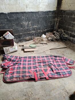 Joblot of rugs/girths/equipment, Shires,Ariat,amigo,gallop,lovesong,pessoa Unknown , Joanne London, Horse Blankets, Sheets & Coolers, Leicester