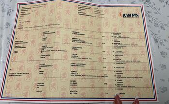 Junger KWPN-Hengst von Next Level