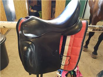 Jorge Canaves Dressursattel, Jorge Canaves Black Jack, S. Acar, Dressage Saddle, Dillingen