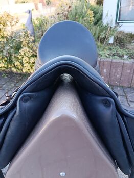 Jorge Canaves Telmo Jorge Canaves  Telmo