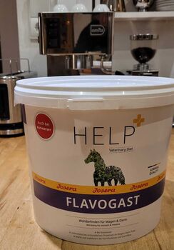 Josera Help Flavogast, Josera Flavogast - Futterzusatz für Magen u. Darm, Nina, Pferdefutter, Ludwigsfelde