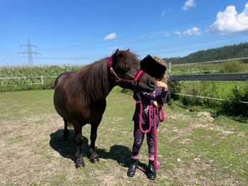 Josy Shetlandpony Stute mit Papiere, Josy , Pferd kaufen, Auerbach 