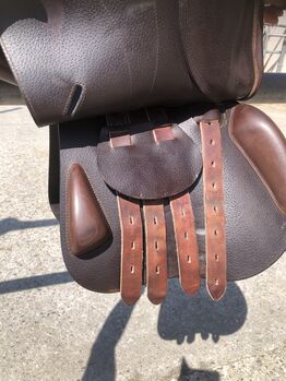 Springsattel Equipe expression 16,5 Zoll Sellerie Equipe  expression 