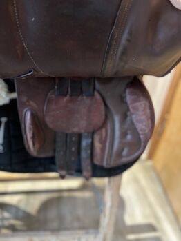 Springsattel Seabis  Kentucky 