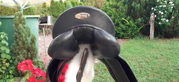 Kiefer Sattel, Kiefer , Angie5 , All Purpose Saddle, Wilhermsdorf