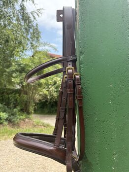 Kandare Unterlegtrense in braun, COB/ Vollblut, goldene Beschläge