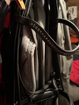 Kandarenzaum Genf Gr.Vollblut