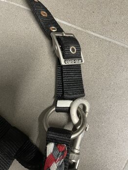 Eurostar Halfter Eurostar