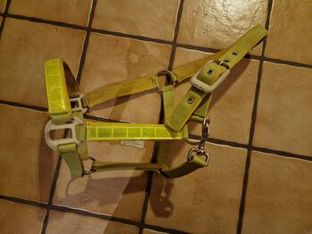 Reflektionshalfter, Halfter, Waldhausen Waldhausen