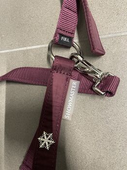 Christmas Collection Halfter Showmaster