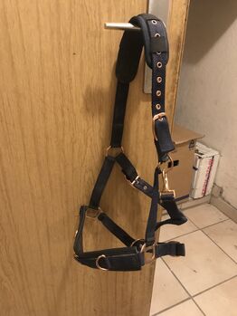 Kappzaum Cob, Showmaster, Petra Schaffner , Longieren, Mintraching 