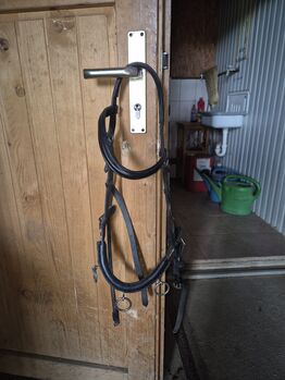 Kappzaum Leder Soft& light Gr. COB, Clairidge House, Jenny, Longieren, Schweinfurt