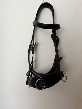 Kappzaum aus Leder/Warmblut, Kappzaum , Martina Odrostly , Longieren, Bottrop