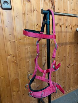 Kappzaum pink full stoff gepolstert, Equiva , Laura , Longieren, Essen