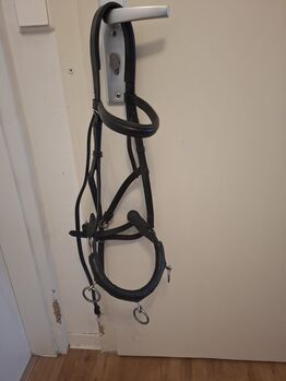Kappzaum schwarz, Annika, Longieren, Hohenmölsen 