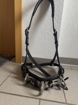Kappzaum schwarz/silber, Kerstin, Longieren, Nenzing