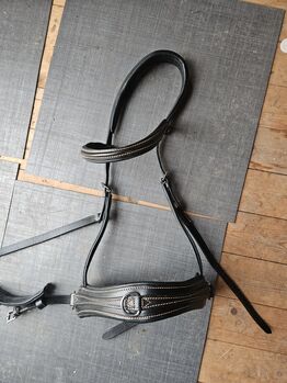 Kappzaum WB, Loesdau, Hannah, Longieren, Biederitz