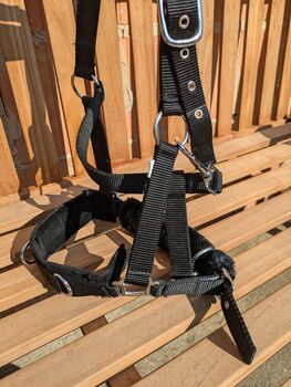 Kappzaumhalfter Cob, ponymausi, Longieren, Naumburg