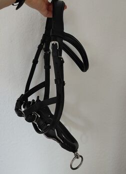 Kappzaum Pony Leder, Sophie Marie Studer, Lunging, St.Erhard