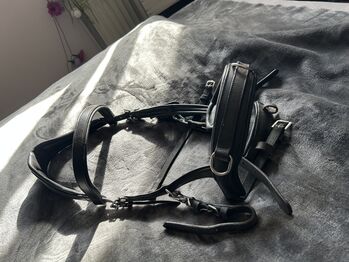 Kappzaum WB anatomisch