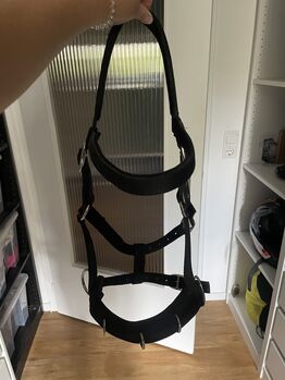 Kappzaum WB/Full, Leonie Ertl, Lunging, Amberg