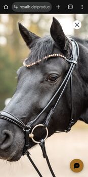 Royal Horse Trense, eingenäht, braun, Warmblut, Kroko, Royal Horse Sir chaka royal 2.0, Eva, Ogłowia, Haltern am See 