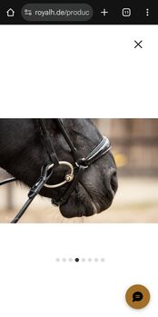 Royal Horse Trense, eingenäht, braun, Warmblut, Kroko Royal Horse Sir chaka royal 2.0