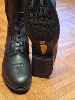 Kavalkade Reitstiefel Proximo, Größe 37 MW, Kavalkade  Proximo , Michaela Engel-Matthiesen, Reitstiefel, Hohne