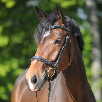 Kavalkade Trense Modell Ivy, Kavalkade Ivy IR, Doris Sperber (Reitsport-Spezial ), Bridles & Headstalls, Langenzenn