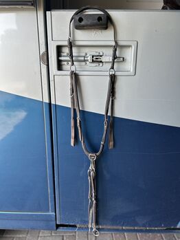 Kavalkade Vorderzeug, Lena, Hilfszügel, Südlohn 