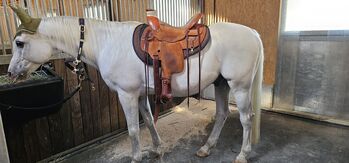 Kenner-Store Equiflex Ladies Allrounder Sitzgröße 16 Equiflex Ladies Allrounder 