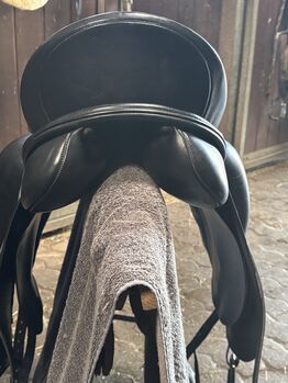 Kentauer Dressursattel, Kentauer  Elektra, Kate, Dressursattel, Vlotho 