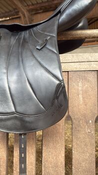 Kentauer Rhode 17 1/2 Zoll Kammer M Kentauer Rhode