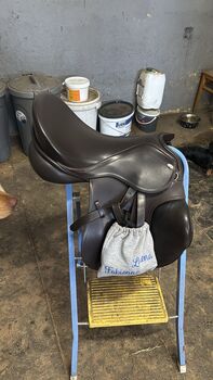 Kentaur Apollon Kentaur  Apollon