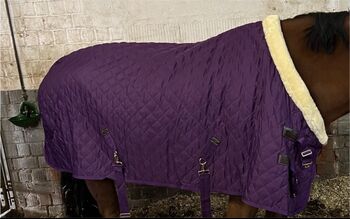 Kentucky Decke, Kentucky , Janaina Zimbres, Horse Blankets, Sheets & Coolers, Florstadt 