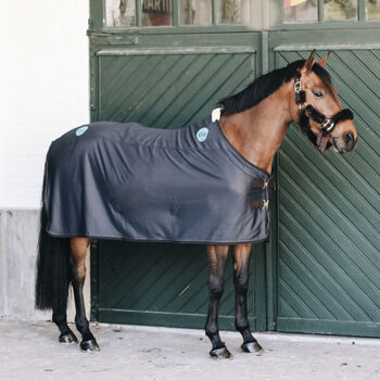 Kentucky Horsewear Magnetic Decke Recuptex 0g - 155 cm, Kentucky  Kentucky Horsewear Magnetic Decke Recuptex 0g - 155 cm, IR, Horse Blankets, Sheets & Coolers, Abtenau